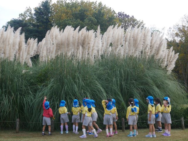 年長組 神代植物公園 認定こども園青葉幼稚園ブログ 認定こども園青葉幼稚園 東京都稲城市